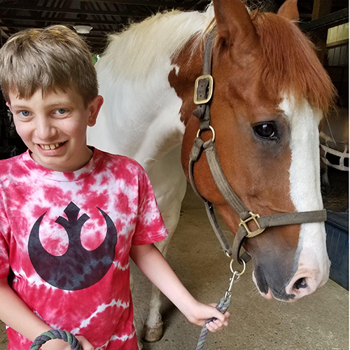 A young man meets the herd