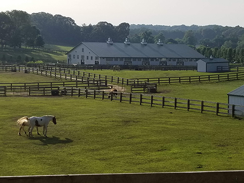 An overview of our stables