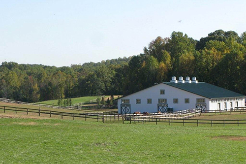 The stables at MTR