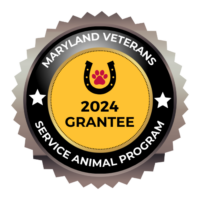 SA Program Graphic 2024 (002)